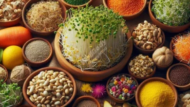 A variety of colorful sprouted foods arranged on a wooden table, including alfalfa sprouts, sprouted grains, and microgreens