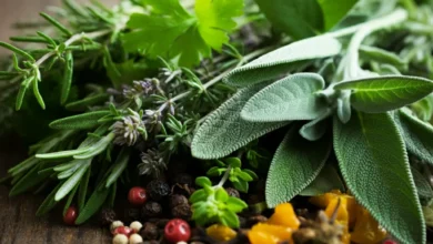A colorful array of fresh herbs and spices on a rustic wooden background