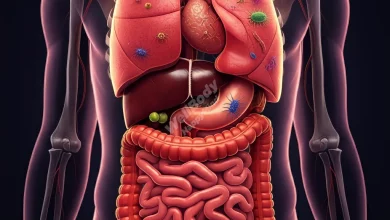A colorful illustration of the human digestive system with various microorganisms representing the gut microbiome