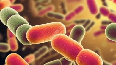 Close-up of a diverse array of colorful bacteria under a microscope